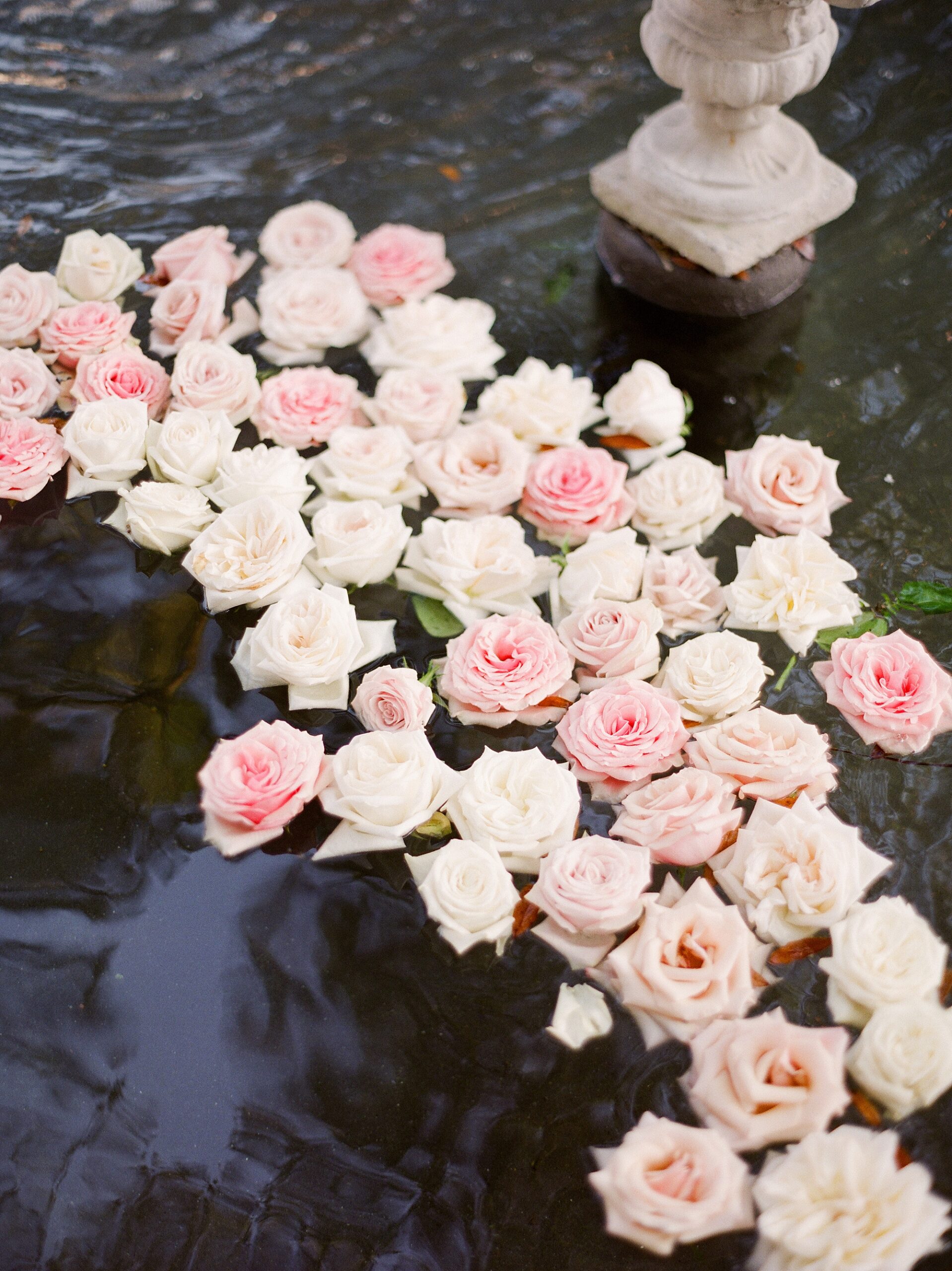 pink roses float in pond at the University of Louisiana at Lafayette alumni center